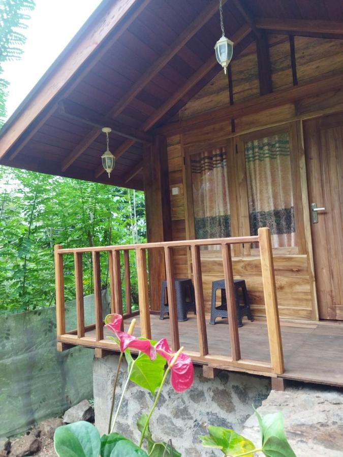 Diyaluma View Cotage Hotel Koslanda Exterior foto