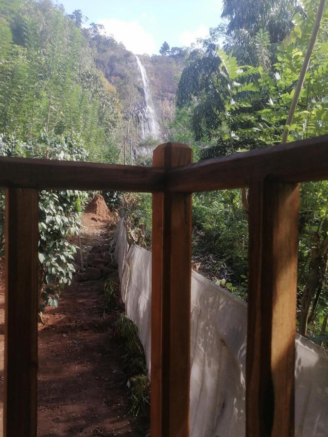 Diyaluma View Cotage Hotel Koslanda Exterior foto