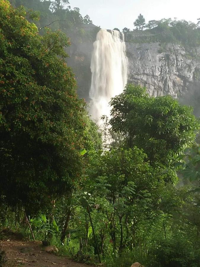 Diyaluma View Cotage Hotel Koslanda Quarto foto